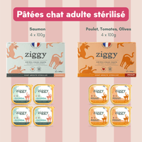 Contenu du Coffret digestion pour chat Ziggy - croquettes et pâtées pour chat adulte stérilisé, probiotiques pour chat et litière
