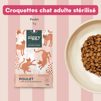 Contenu du Coffret digestion pour chat Ziggy - croquettes et pâtées pour chat adulte stérilisé, probiotiques pour chat et litière