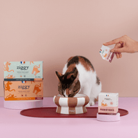 Chat adulte stérilisé avec les croquettes, pâtées, litière et probiotiques pour chat Ziggy qui composent le coffret digestion pour chat adulte