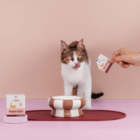 Chat adulte stérilisé avec les croquettes, pâtées, litière et probiotiques pour chat Ziggy qui composent le coffret digestion pour chat adulte
