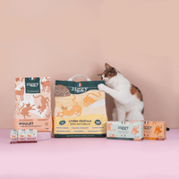 Chat adulte stérilisé avec les croquettes, pâtées, litière et probiotiques pour chat Ziggy qui composent le coffret digestion pour chat adulte