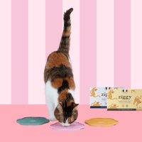 Contenu du coffret Chat Glouton pour chat adulte stérilisé de la marque Ziggy qui comprend pâtées pour chat adulte stérilisé et un tapis de léchage anti-glouton pour chat
