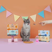 Contenu du coffret Chat Glouton pour chat adulte stérilisé de la marque Ziggy qui comprend pâtées pour chat adulte stérilisé et un tapis de léchage anti-glouton pour chat