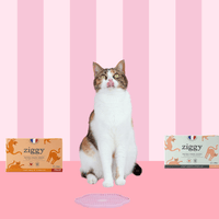 Contenu du coffret Chat Glouton pour chat adulte stérilisé de la marque Ziggy qui comprend pâtées pour chat adulte stérilisé et un tapis de léchage anti-glouton pour chat