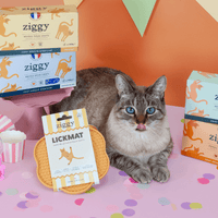 Contenu du coffret Chat Glouton pour chat adulte stérilisé de la marque Ziggy qui comprend pâtées pour chat adulte stérilisé et un tapis de léchage anti-glouton pour chat