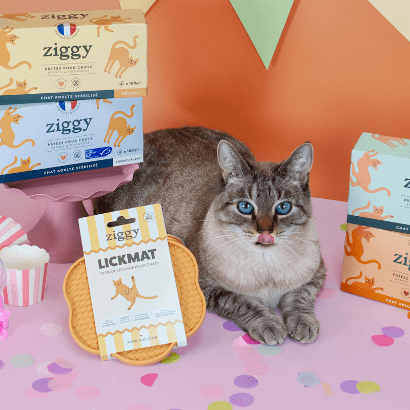 Contenu du coffret Chat Glouton pour chat adulte stérilisé de la marque Ziggy qui comprend pâtées pour chat adulte stérilisé et un tapis de léchage anti-glouton pour chat