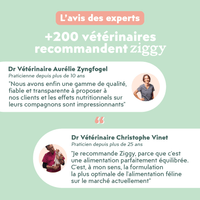 Contenu du coffret Pelage pour chat adulte stérilisé de la marque Ziggy qui comprend des croquettes et pâtées pour chat adulte stérilisé, une brosse pour chat et un flacon d'huile de poisson et d'algues pour chat
