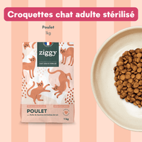 Contenu du coffret Pelage pour chat adulte stérilisé de la marque Ziggy qui comprend des croquettes et pâtées pour chat adulte stérilisé, une brosse pour chat et un flacon d'huile de poisson et d'algues pour chat