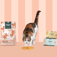 Contenu du coffret Pelage pour chat adulte stérilisé de la marque Ziggy qui comprend des croquettes et pâtées pour chat adulte stérilisé, une brosse pour chat et un flacon d'huile de poisson et d'algues pour chat