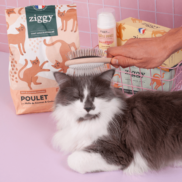 Contenu du coffret Pelage pour chat adulte stérilisé de la marque Ziggy qui comprend des croquettes et pâtées pour chat adulte stérilisé, une brosse pour chat et un flacon d'huile de poisson et d'algues pour chat