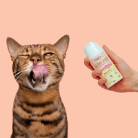 Contenu du coffret Pelage pour chat adulte stérilisé de la marque Ziggy qui comprend des croquettes et pâtées pour chat adulte stérilisé, une brosse pour chat et un flacon d'huile de poisson et d'algues pour chat