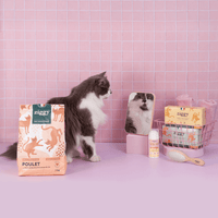 Contenu du coffret Pelage pour chat adulte stérilisé de la marque Ziggy qui comprend des croquettes et pâtées pour chat adulte stérilisé, une brosse pour chat et un flacon d'huile de poisson et d'algues pour chat