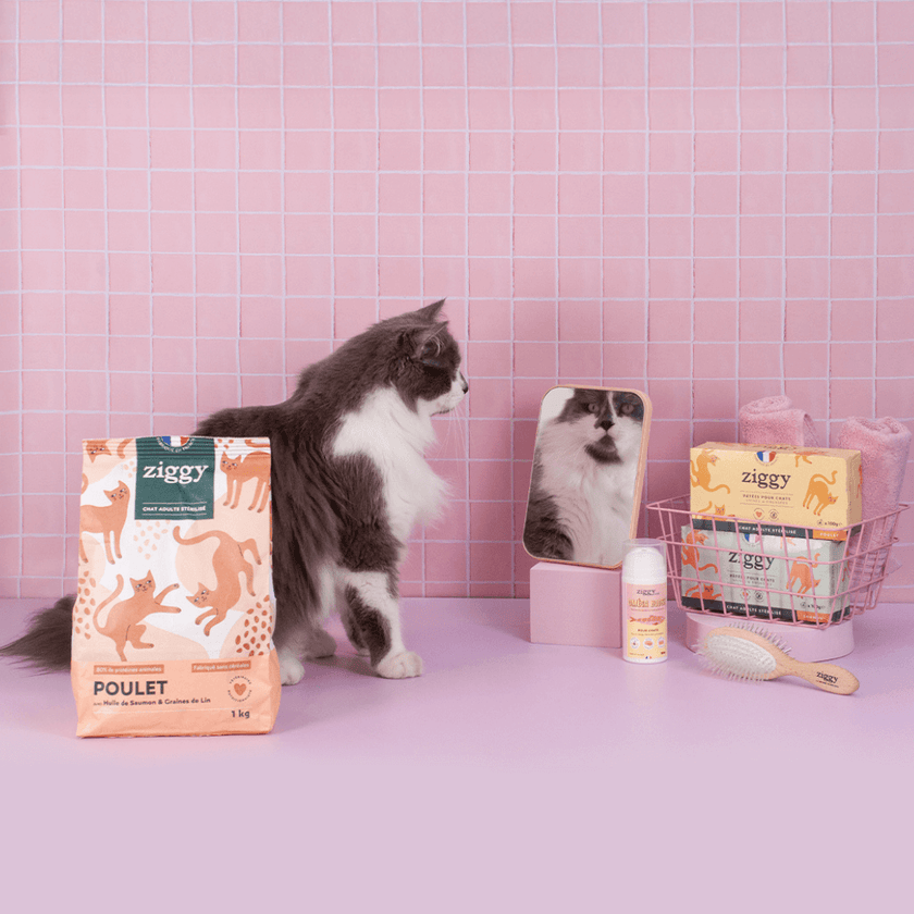 Contenu du coffret Pelage pour chat adulte stérilisé de la marque Ziggy qui comprend des croquettes et pâtées pour chat adulte stérilisé, une brosse pour chat et un flacon d'huile de poisson et d'algues pour chat