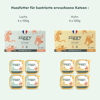 Zusammensetzung des Sets für sterilisierte erwachsene Katzen Ziggy – gesunde, getreidefreie Katzennahrung