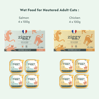 Contents of the Ziggy bundle for sterilized adult cats: healthy, grain-free cat food