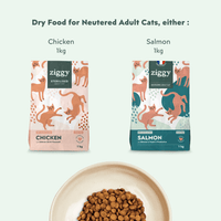 Contents of the Ziggy bundle for sterilized adult cats: healthy, grain-free cat food