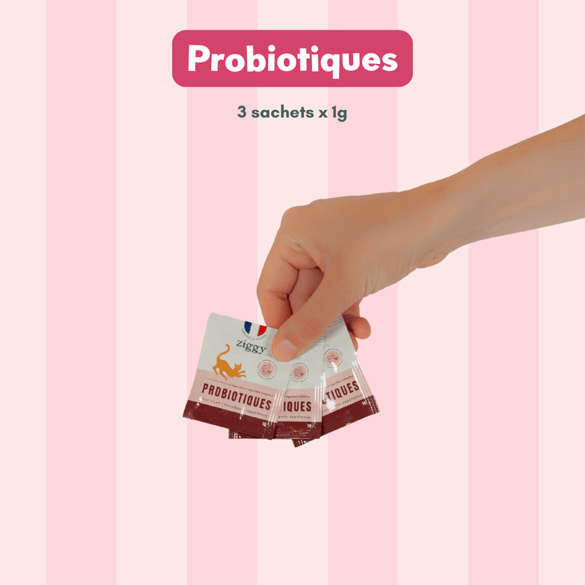 Coffret découverte chat adulte stérilisé