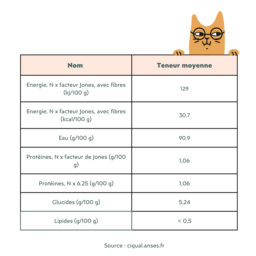 Composition nutriments de la courge musquée - What are the benefits of squash for my cat?
