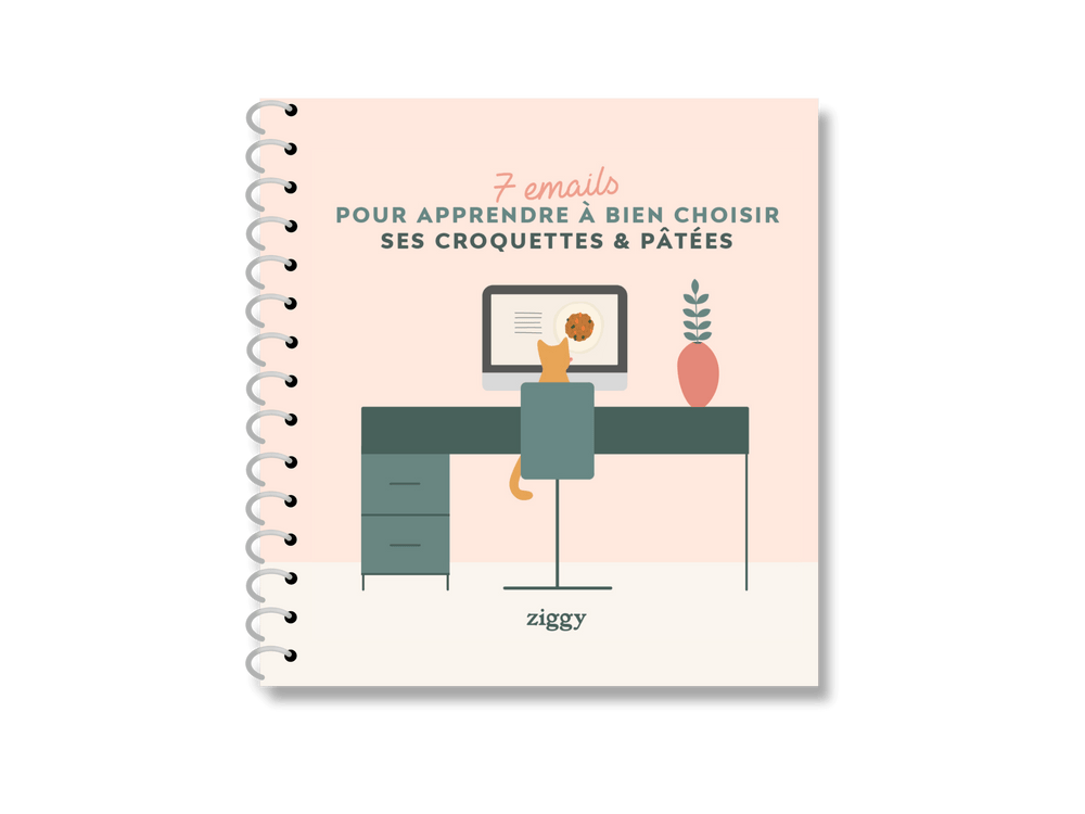 couverture de la formation pour apprendre à bien choisir ses croquettes et pâtées - My black cat's fur is turning red, why?