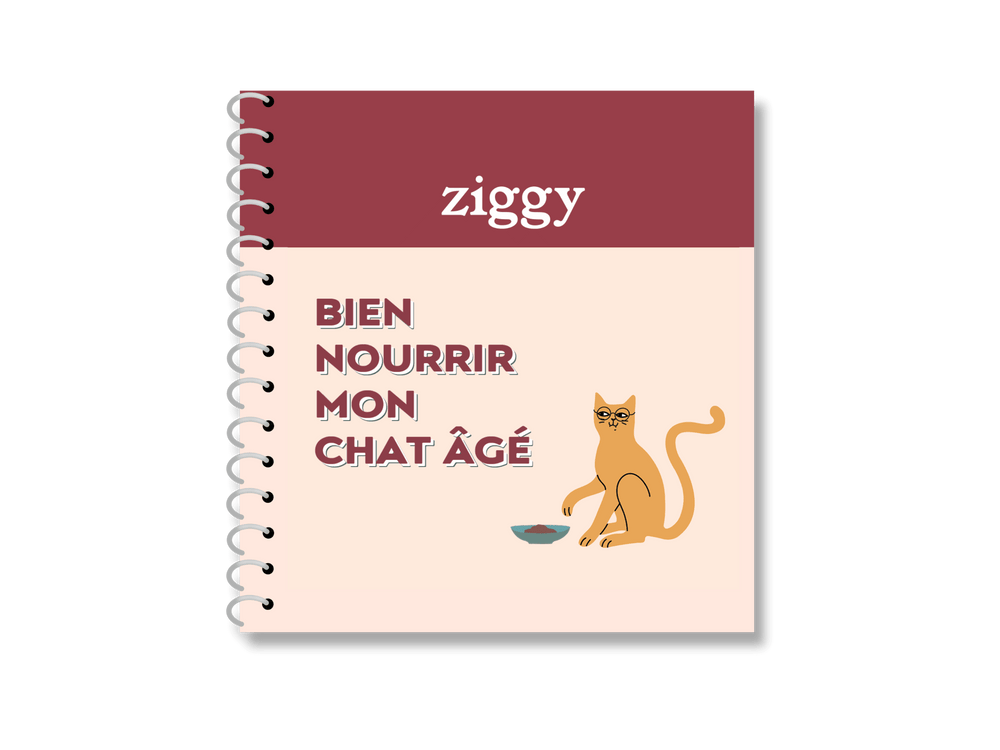 couverture du guide sur l'alimentation chez le chat senior