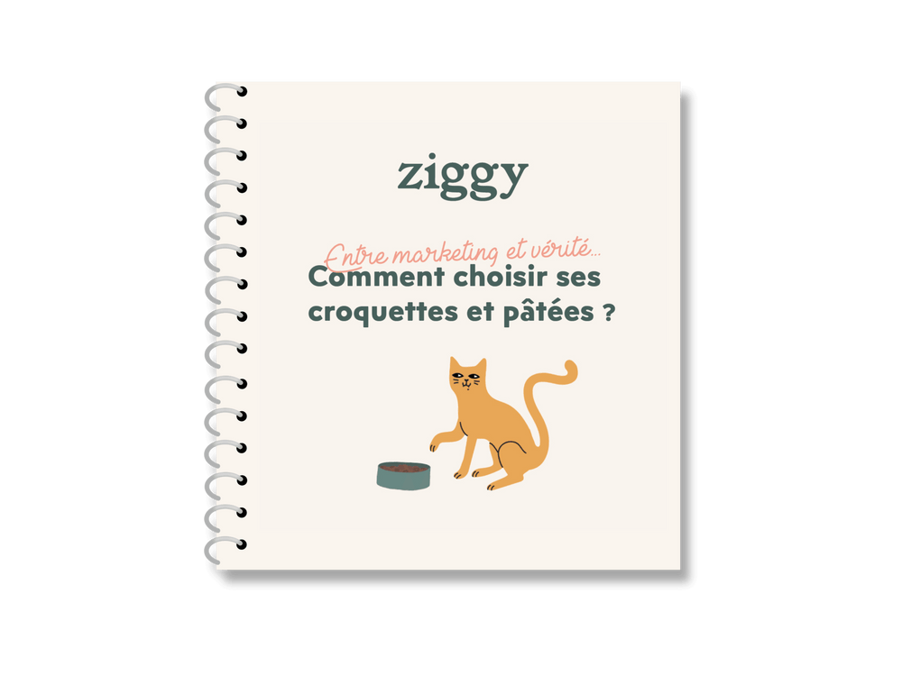 couverture guide avec explications pour bien choisir ses croquettes et pâtées - Alimentation Sphynx : comment bien nourrir son chat ?