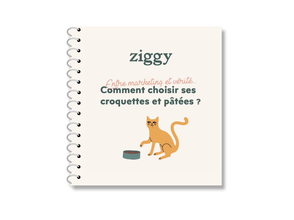 couverture guide avec explications pour bien choisir ses croquettes et pâtées - Comment choisir les meilleures croquettes pour son chat ?