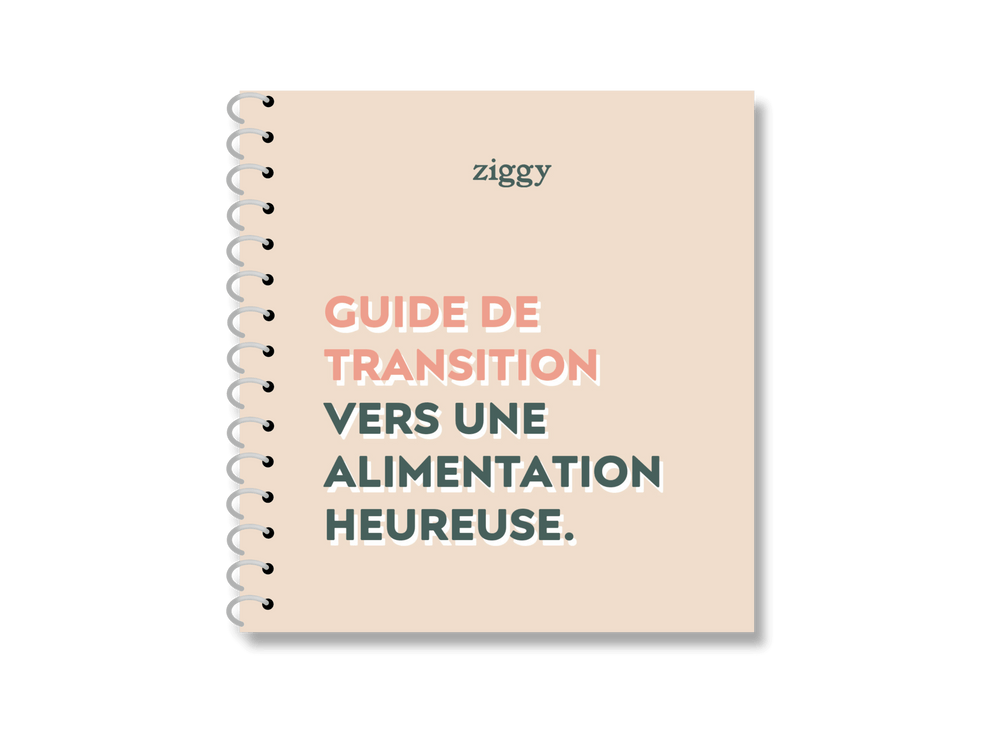 Guide sur la transition alimentaire chez le chat