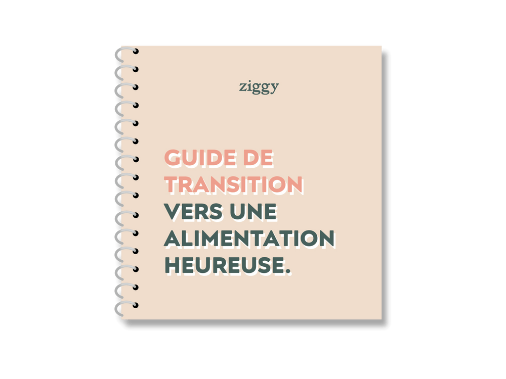 Guide sur la transition alimentaire chez le chat 