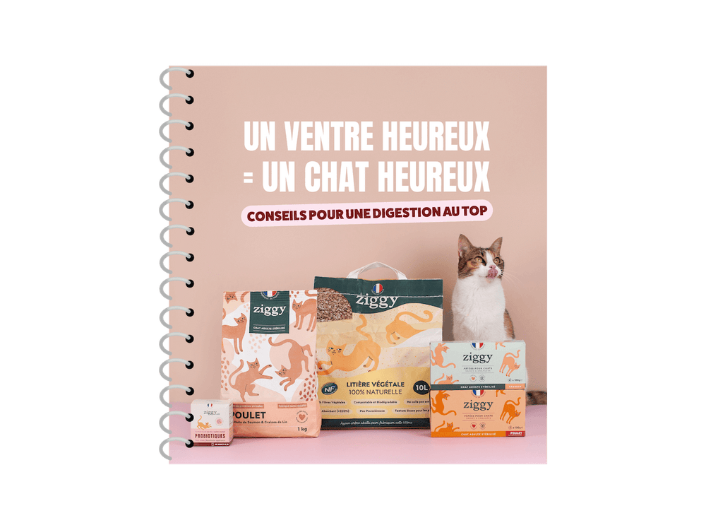 Couverture ebook digestion du chat