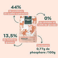 Sac de 1 kg de croquettes pour chat adulte stérilisé au poulet Ziggy avec description de la composition