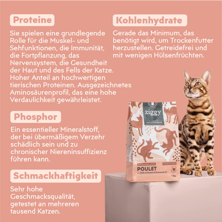 Zusammensetzung des gesunden, getreidefreien Trockenfutters mit Huhn für erwachsene, sterilisierte Katzen aus natürlichen Zutaten