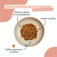 Texture et format des croquettes pour chat adulte stérilisé au poulet, saines, à base d'ingrédients naturelles et sans céréales