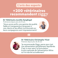 Avis vétérinaire des croquettes pour chat adulte stérilisé au poulet, saines, à base d'ingrédients naturelles et sans céréales