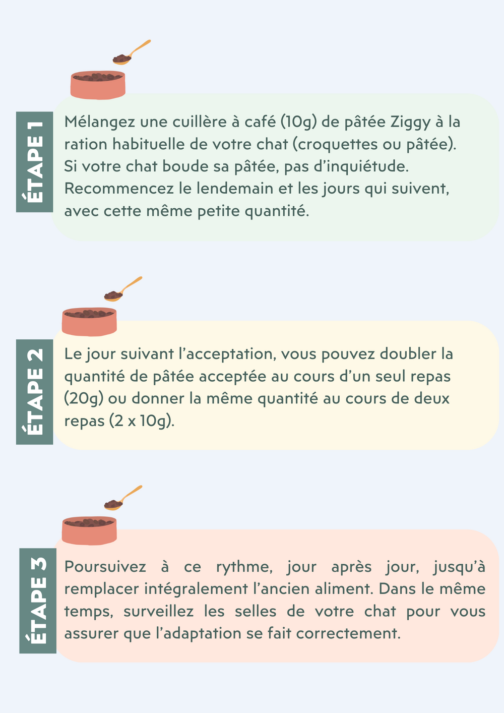 étapes de la transition alimentaire chez le chat - Troubles digestifs chez le chat : nos conseils pour une digestion au top