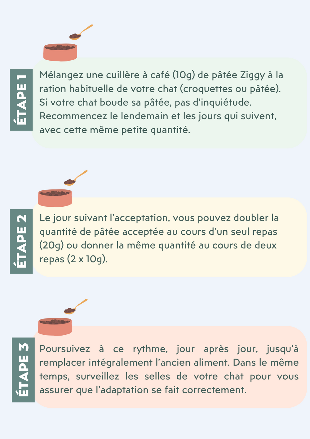 Ziggy - Troubles digestifs chez le chat : nos conseils pour une digestion au top