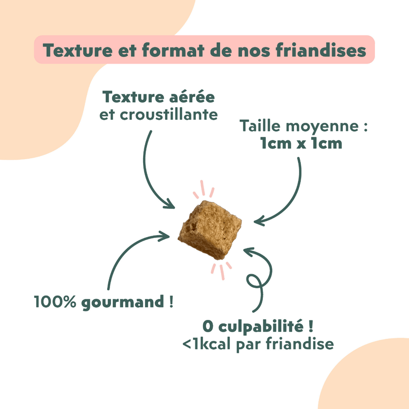Texture et format des Friandises pour chat Ziggy saines, sans amidon et ultra gourmandes