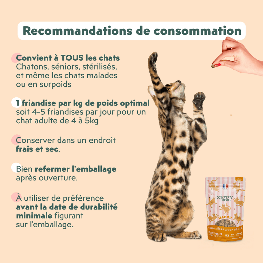 Recommandations de consommation des Friandises pour chat Ziggy saines, sans amidon et ultra gourmandes