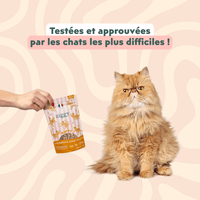 Chat adulte stérilisé qui adore les Friandises pour chat Ziggy saines, sans amidon et ultra gourmandes