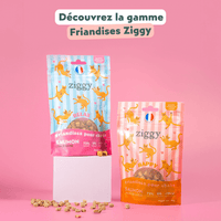 Friandises pour chat Ziggy saines, sans amidon et ultra gourmandes