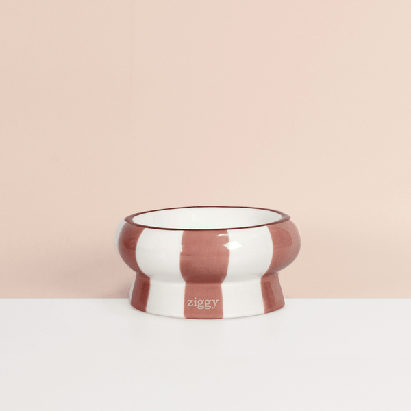 Gamelle pour chat Ziggy