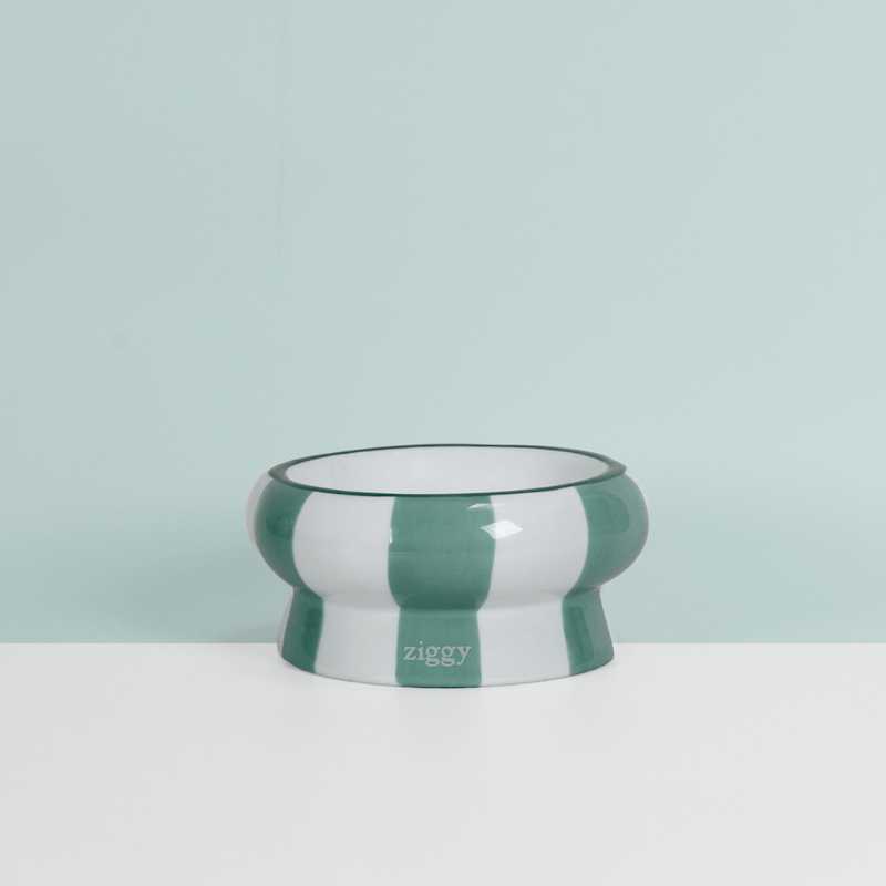 Gamelle pour chat Ziggy