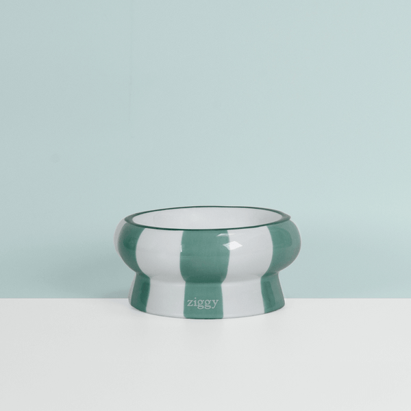 Gamelle pour chat Ziggy