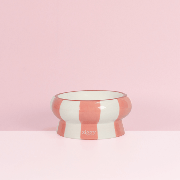 Gamelle pour chat Ziggy