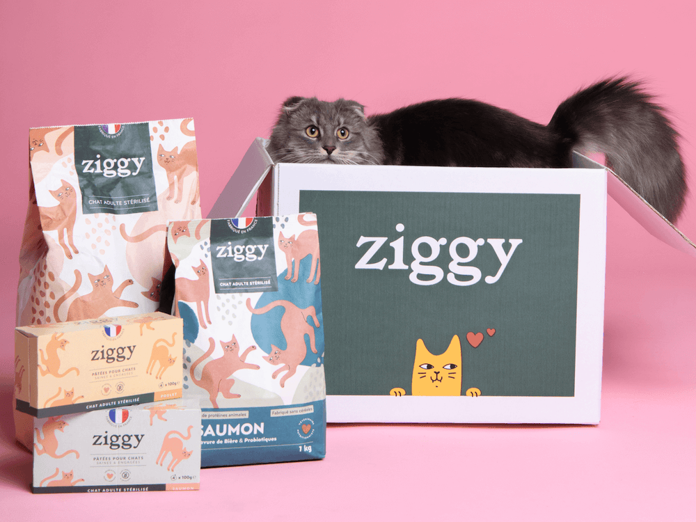 chat dans un carton à côté de croquettes et pâtées poulet et saumon sans céréales