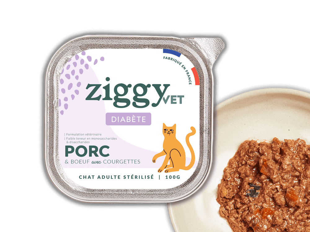 pâtée pour chat adulte souffrant de diabète posée sur une gamelle