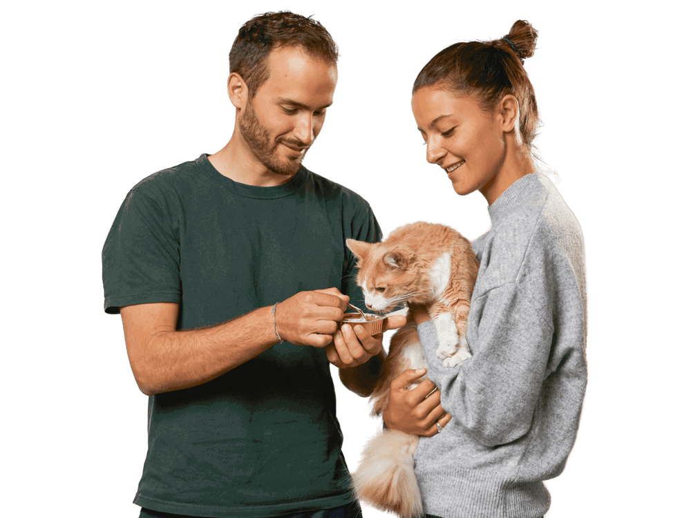 Marie, Alyosha et Gus, les cofondateurs de Ziggy, alimentation pour chats