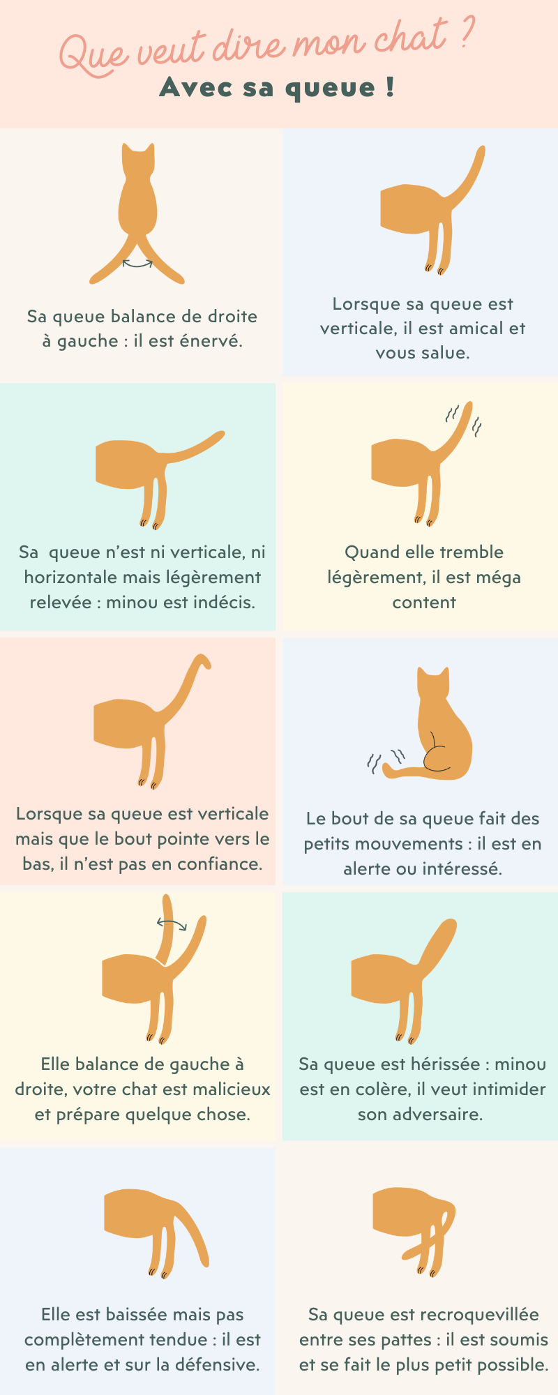Ziggy - Décryptez l’humeur de votre chat avec sa queue !
