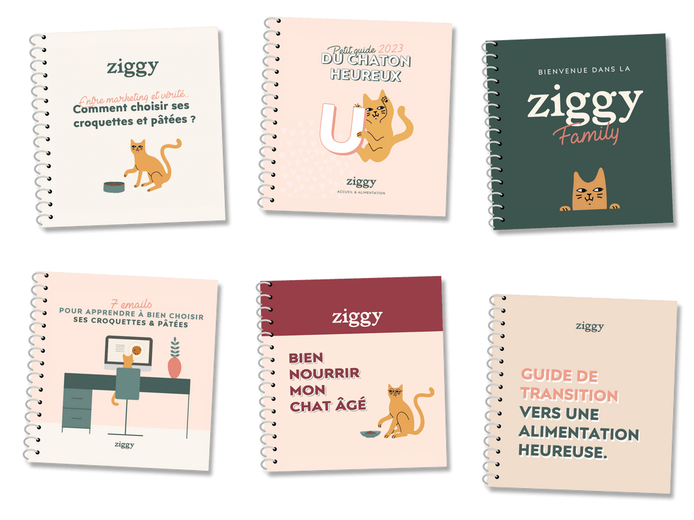 différents guides de nutrition avec conseils sur l'alimentation des chats