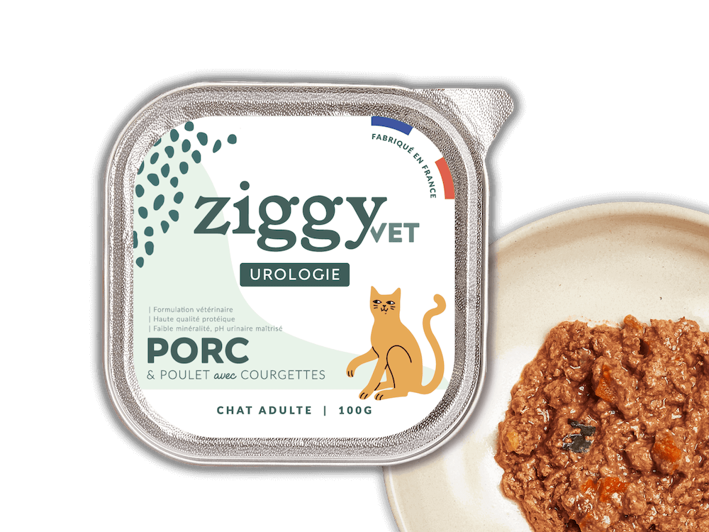 Pâtée pour chat adulte souffrant de troubles urinaires de la marque Ziggy pour chat