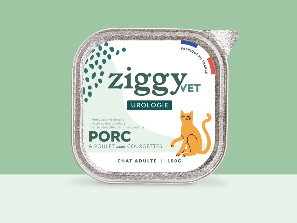 La pâtée Ziggy pour les chats souffrant de troubles urinaires - Harnprobleme bei Katzen: Ursachen und vorbeugende Maßnahmen